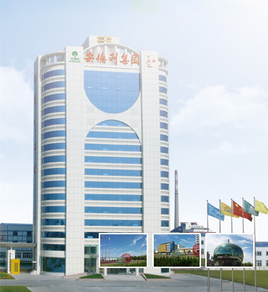 公司简介 烟台北方安德利果汁股份有限公司